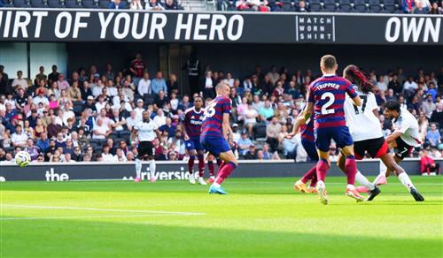 Fulham vs Newcastle United