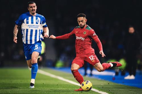 Brighton vs Wolves